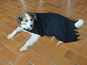 Chico de Batman 2